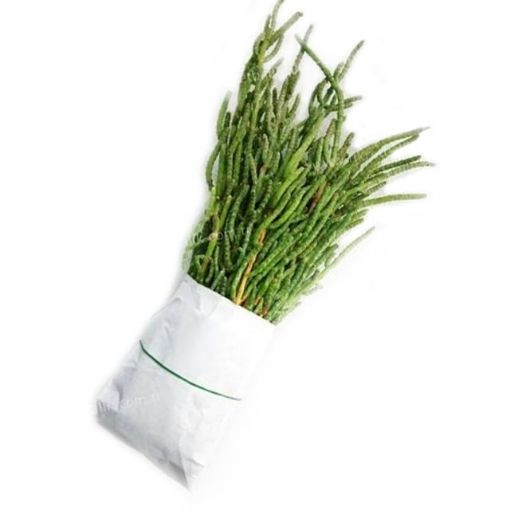 Deniz Börülcesi (Adet). ürün görseli