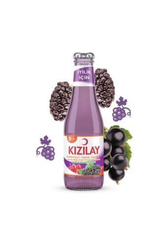 Kızılay Karadut & Frenk Üzümü Maden Suyu 200 ml. ürün görseli