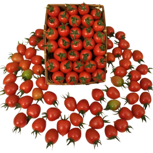Domates Frenk (Kilo). ürün görseli